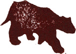 The Bear